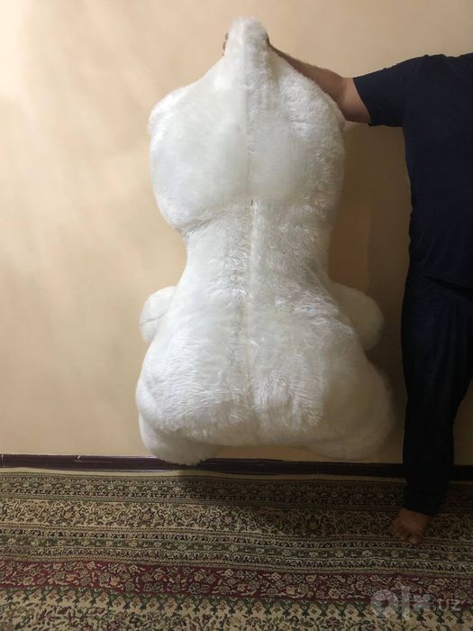 Yumwoq ayiqcha sotiladi