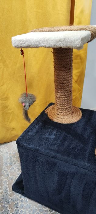 Котешка катерушка