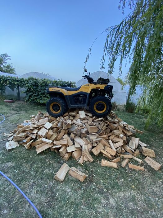 Piese Atv Cectek