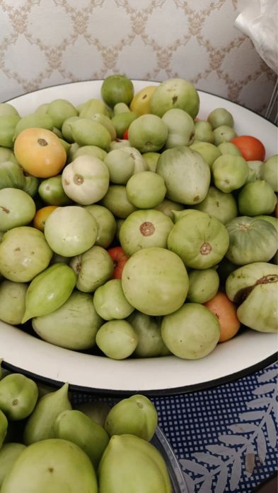 Продам вкусные домашние помидоры