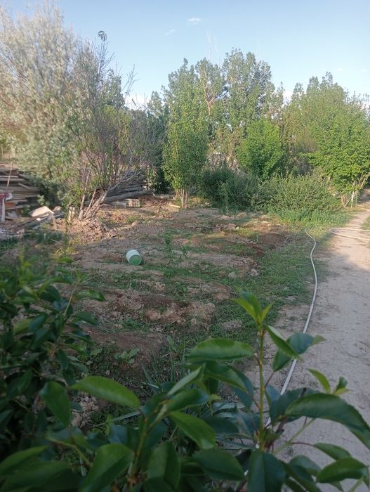 Продам дачу в П МК 52   Дом де комнаты и коридор
