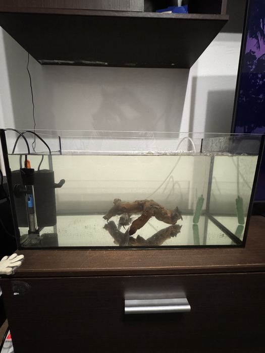 Acvariu 54L 60x30x30 cu pesti