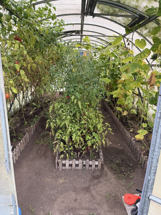 Продам дачу. Оо горизонт