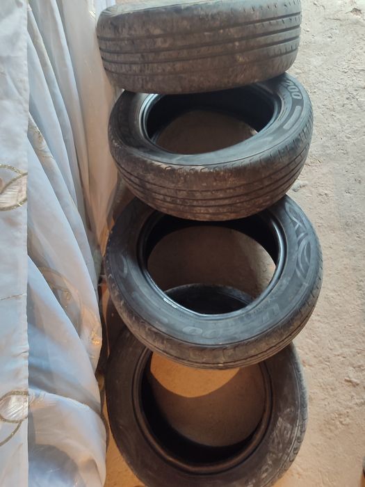 Shinalar 50 ming soʻmdan