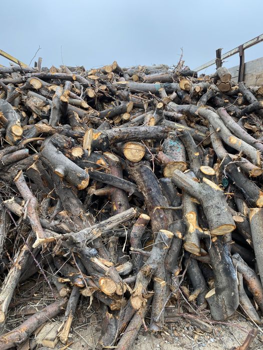 Дрова фруктовые