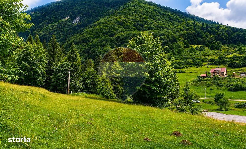 Teren intravilan 2500mp | Zărnești | Parcul Național Piatra Craiului