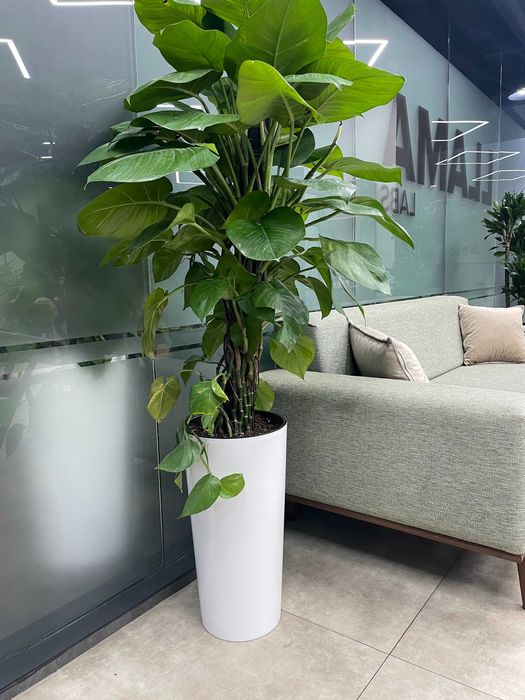 Готовый офис под ключ | Tayyor ofis mebeli