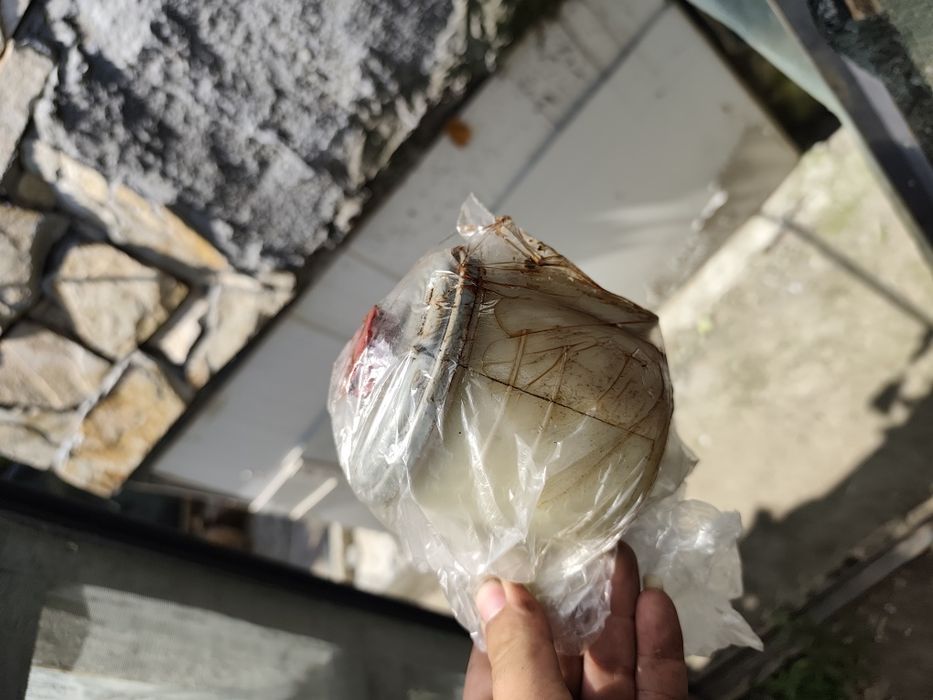 Сузуки лиана На части