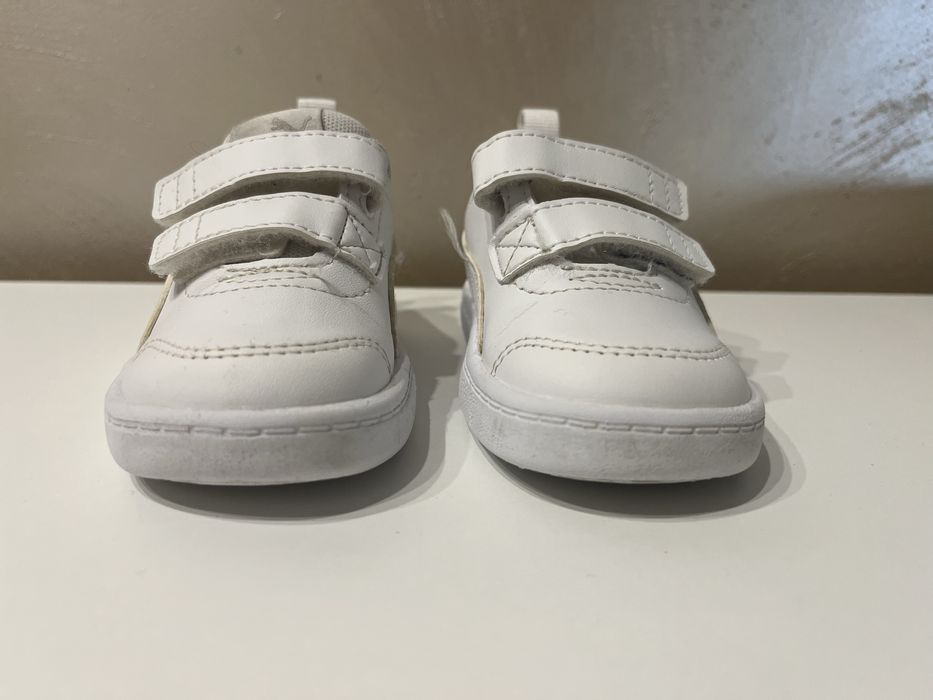 Кецове пума 20 номер