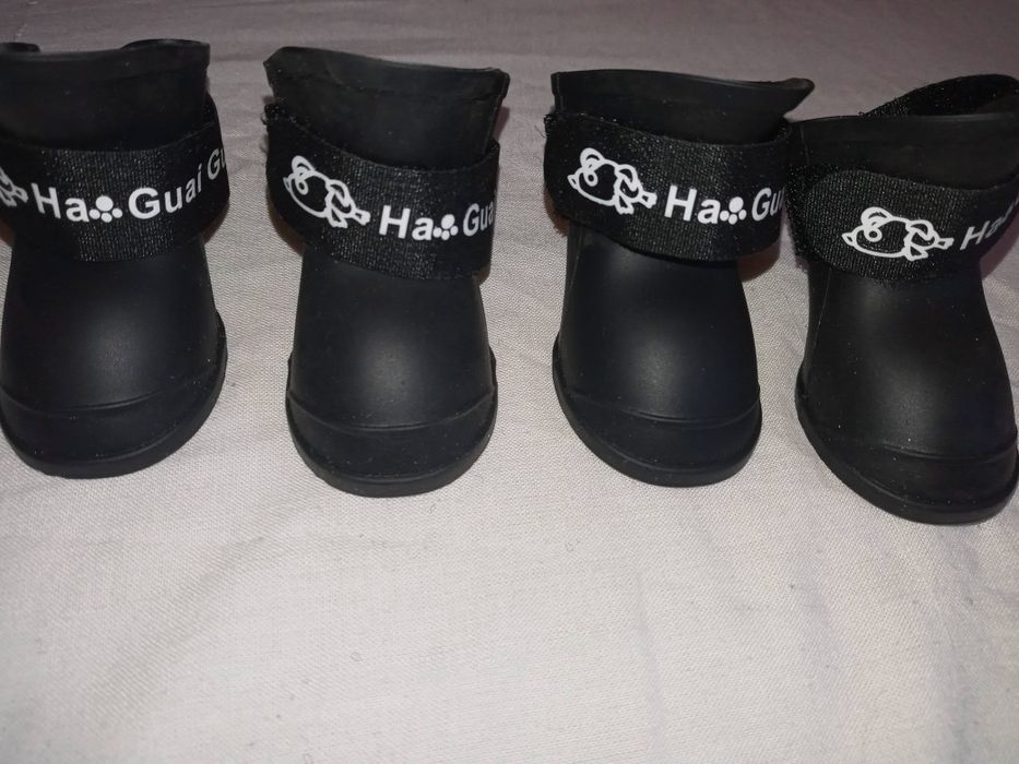 Incaltaminte caini companie, noua