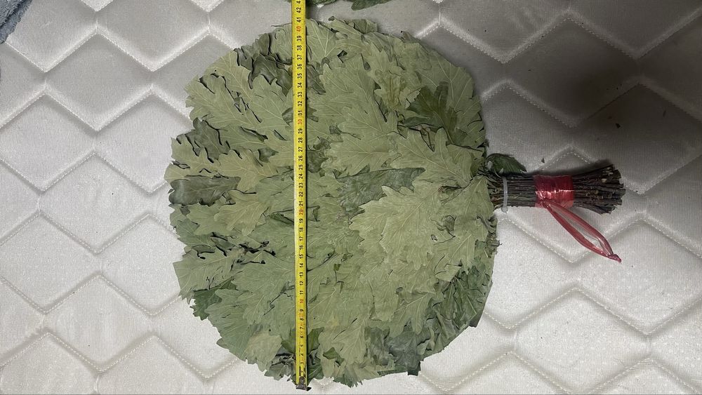 Дубовые веники для бань