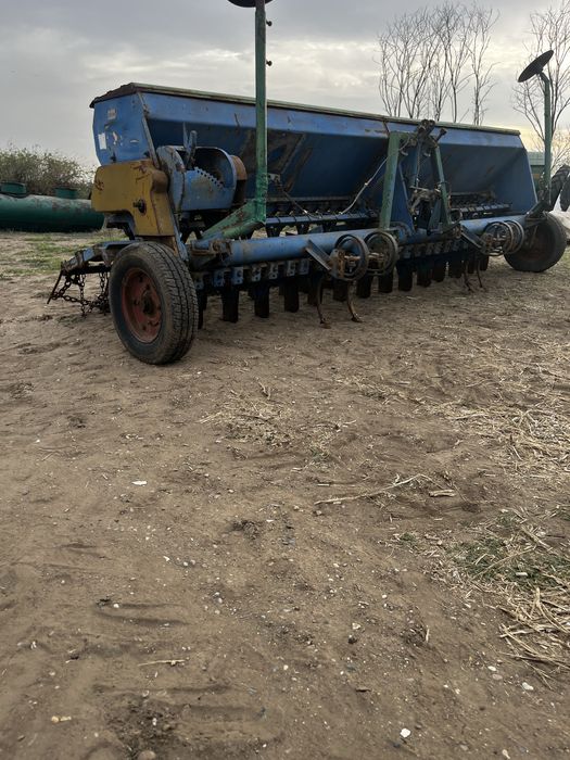 Semanatoare paioase Piatra Neamt sup29