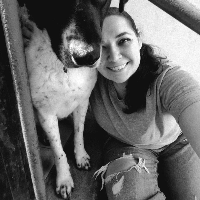 Опитен и грижовен пет ситър: Разходки на кучета и грижа за котки. Pet care, Dog Walking, Cat sitting