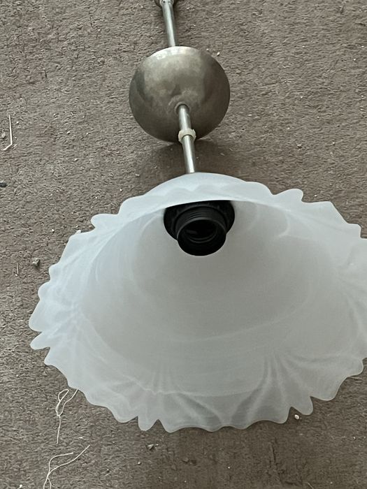 Полилей бял използван