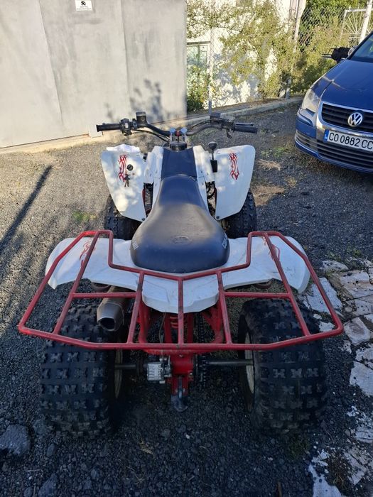 Can-Am DS 250 2009