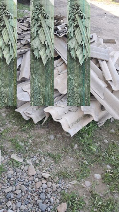 Бесплатно/ Tekinga