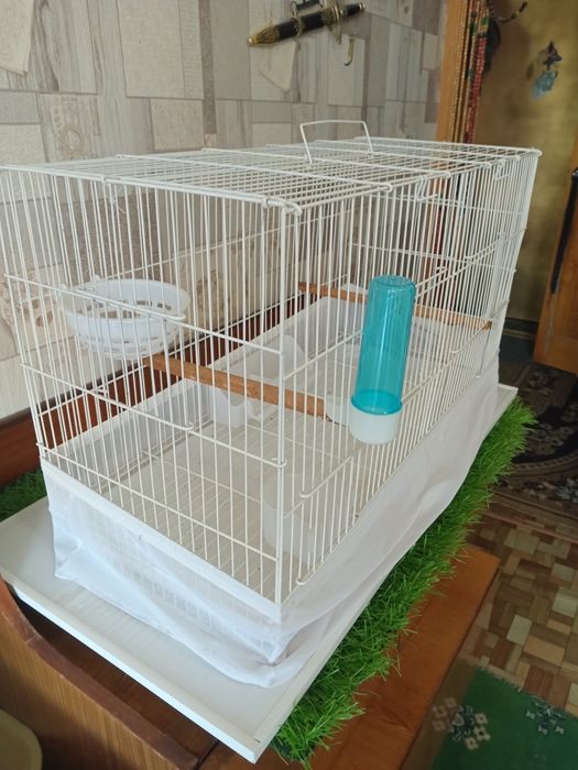 Большая клетка для птиц.