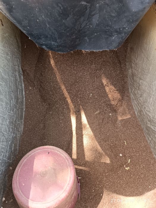 Биогумус  удобрение