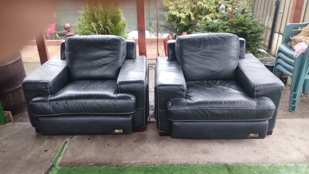 Fotoli din piele