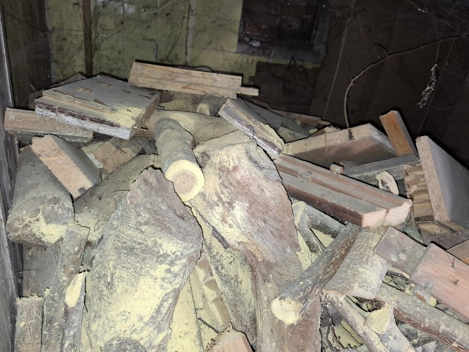 Дърва за огрев 100 евро