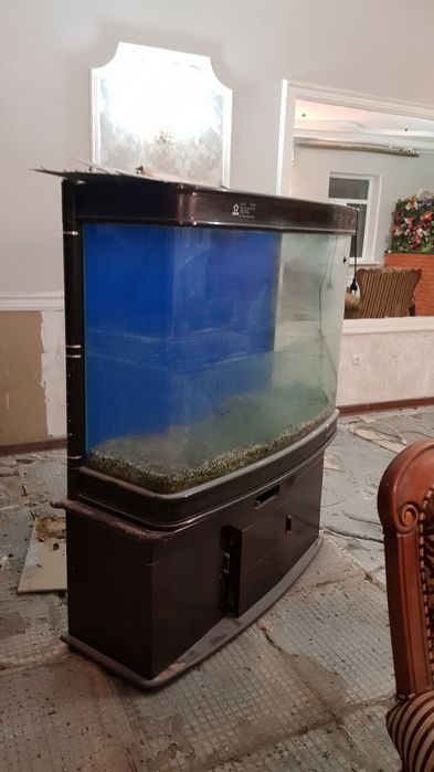 Аквариум. Сатылады срочно