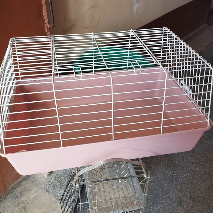 Клетки две штуки,для кроликов и попугаев.
