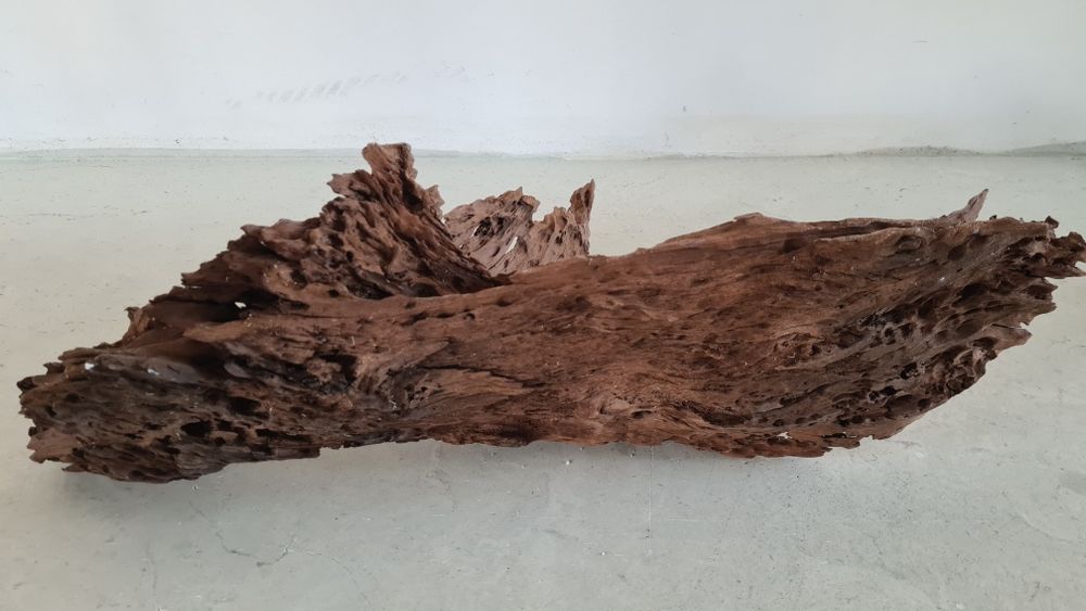 Buturuga / lemn mangrove pentru acvarii