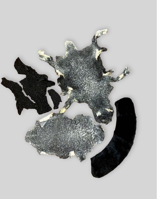 Шкурки каракуля, новые!!  И меховой воротник.