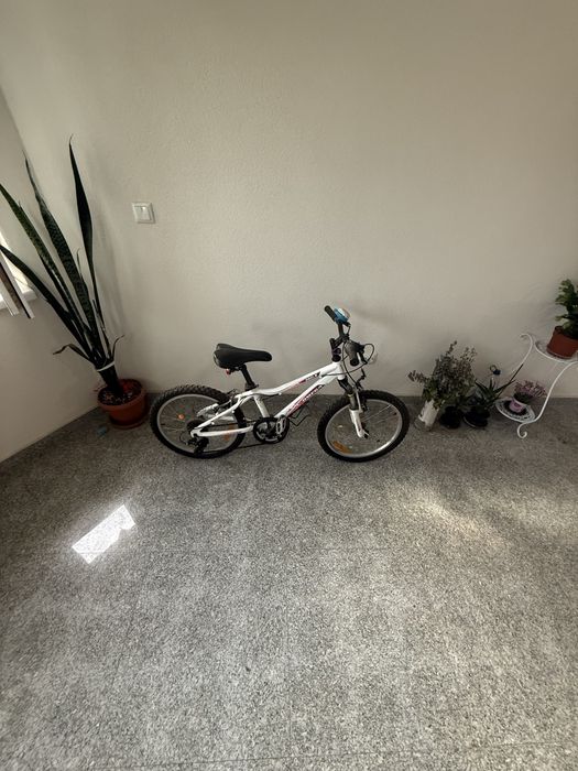 Bicicleta  Omega Angle 20 inch NOUA