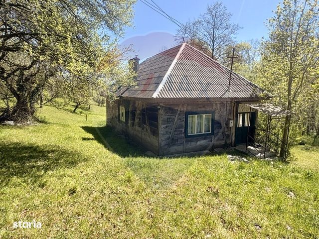 Casa traditionala,teren 6.039 mp DESESTI Maramures