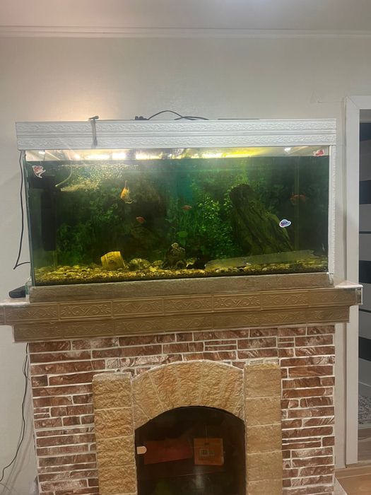 Аквариум с рыбками