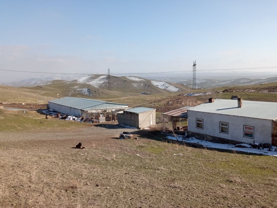 Продается фазенда