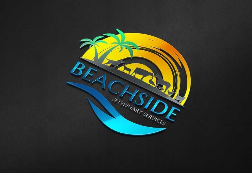 Servicii grafică , Design Logo Vectorial, Flyer, Banner, Meniu, etc.