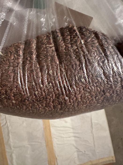 Продам Ячмень дешево