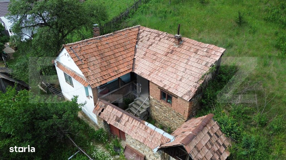 Casa traditionala - o investitie cu potential de dezvoltare, Capalna,