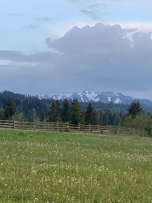 Teren intravilan la munte, plan, zona cu case,  langa Vatra Dornei