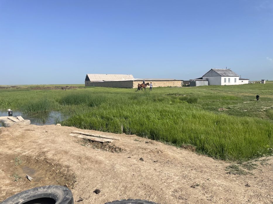 Продам Фазенду