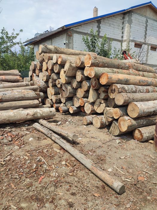 Depozit lemne de foc