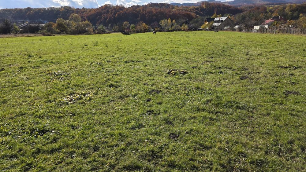 Teren de vanzare in Sovata