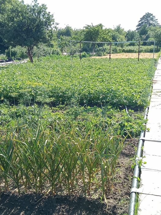 Продам дачу (6,6 соток)