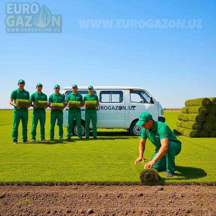 Установка рулонного газона под ключ с доставкой