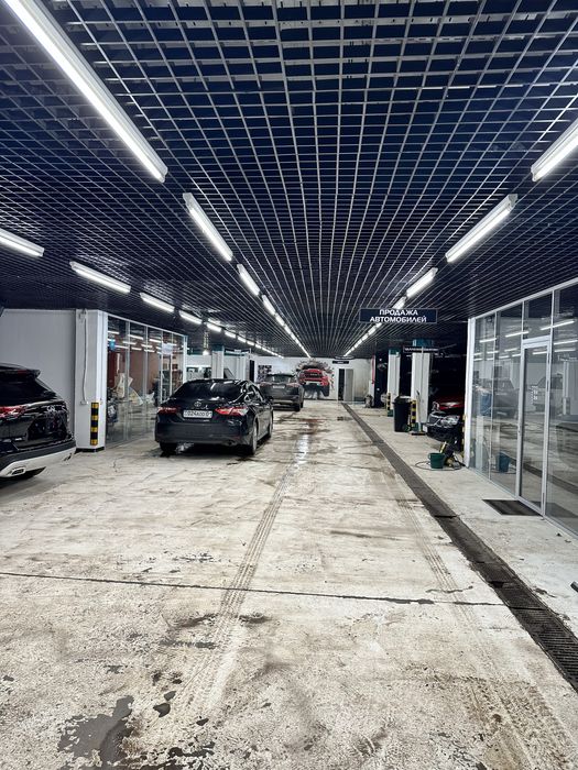 Starline Pandora установка продажа