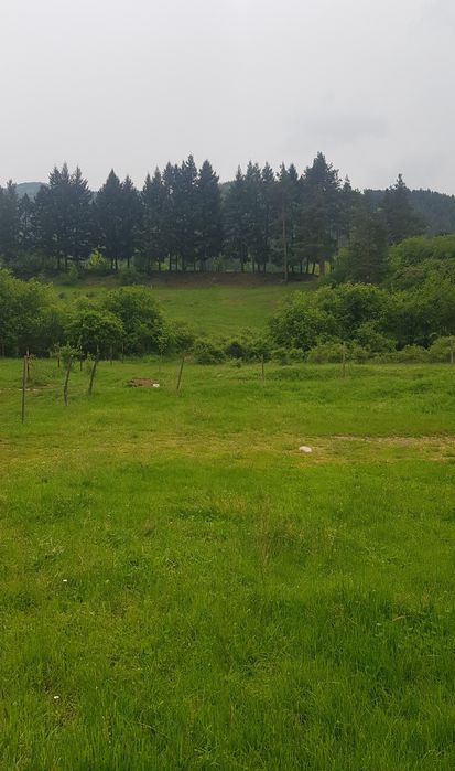 Продава парцел в гр.Сапарева баня