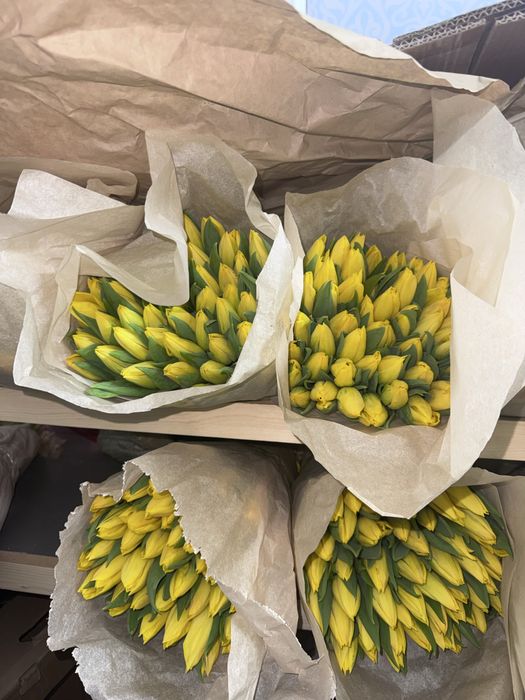 Тюльпаны не дорого