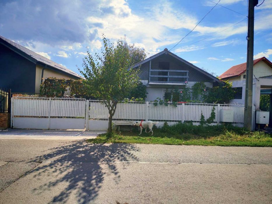 Proprietate cu acces direct la Lacul Snagov | Teren 1.842 mp