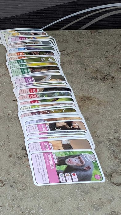 Cartonase Mega Image - Expeditie in jurul lumii 1 si 2