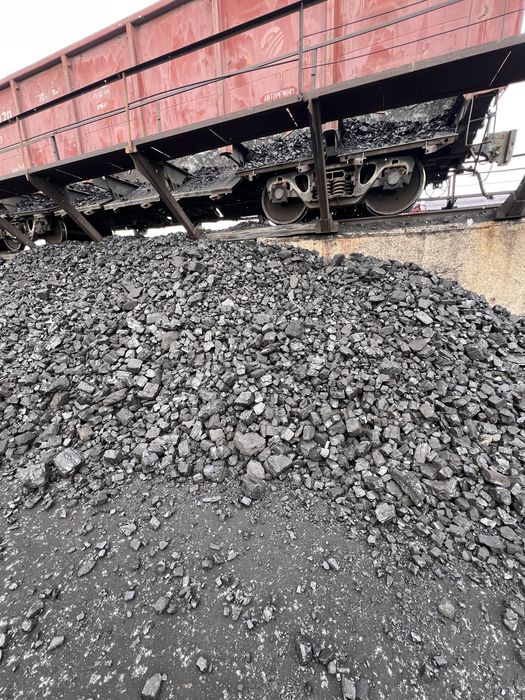 Каражара сорт 18500т