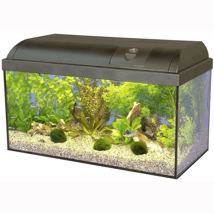 Аквариум Hagen Elite 60л