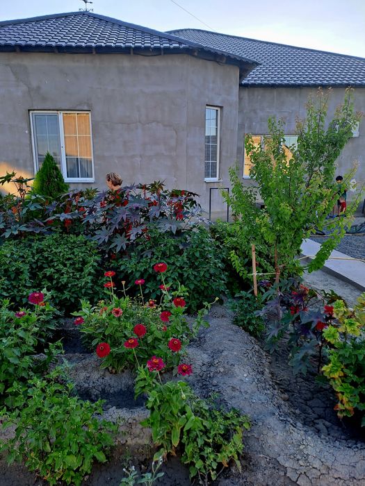 Продам большой дом