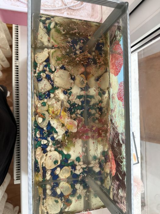 Аквариум с рыбками